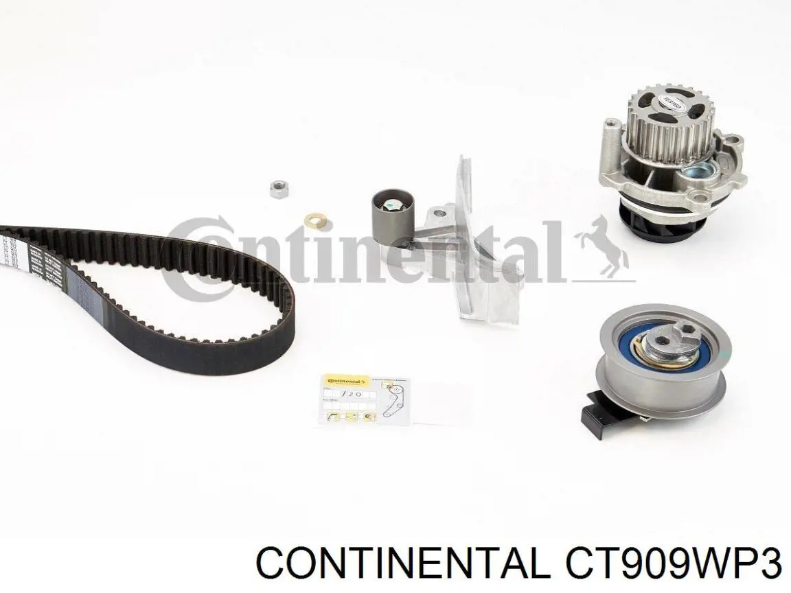 CT909WP3 Continental/Siemens Pasek rozrządu, zestaw