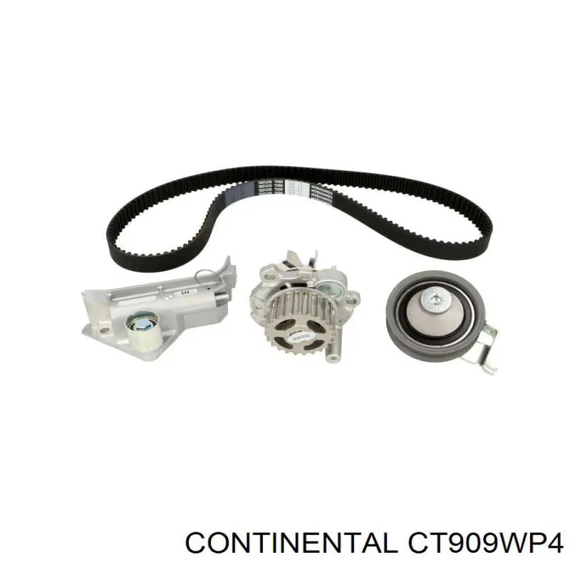 CT909WP4 Continental/Siemens Pasek rozrządu, zestaw