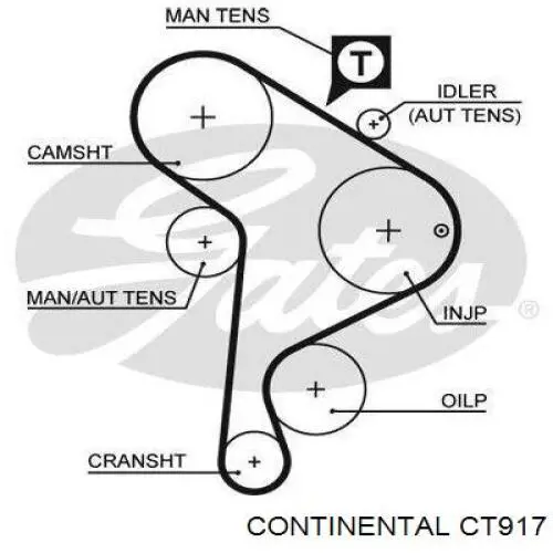 CT917 Continental/Siemens Pasek rozrządu