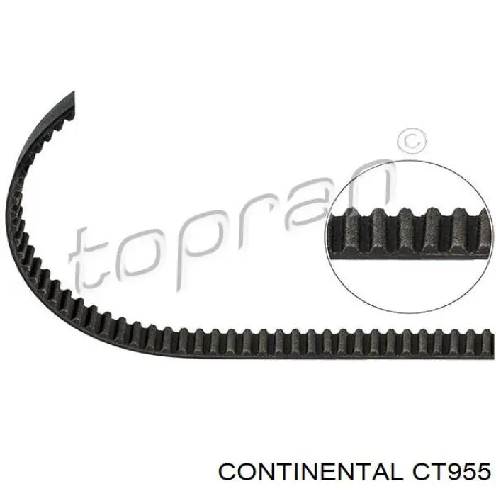 Pasek rozrządu CT955 Continental/Siemens