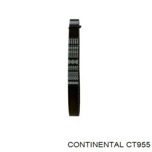 Pasek rozrządu Continental/Siemens CT955