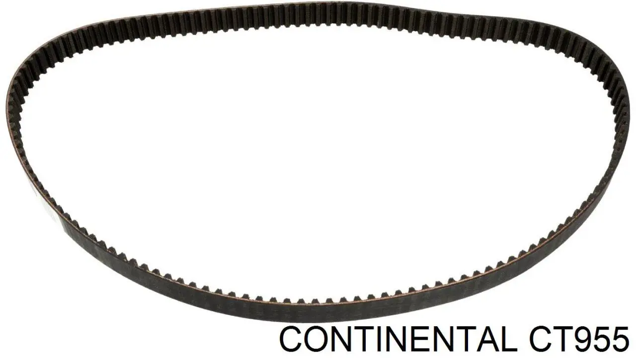 Pasek rozrządu Continental/Siemens CT955 cena, od 24,76 USD