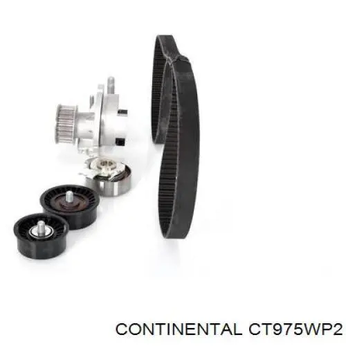 CT975WP2 Continental/Siemens Pasek rozrządu, zestaw