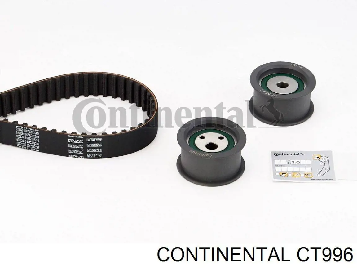 CT996 Continental/Siemens Pasek rozrządu