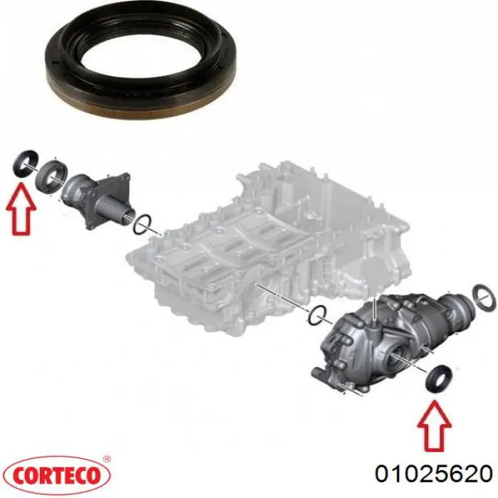 01025620 Corteco Uszczelniacz reduktora mostu przedniego