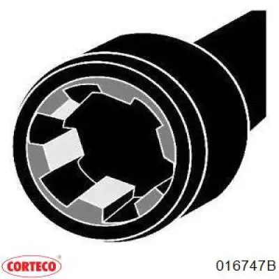 Śruba głowicy cylindrów Fiat/Alfa/Lancia 55214216 cena, od 6,06 USD