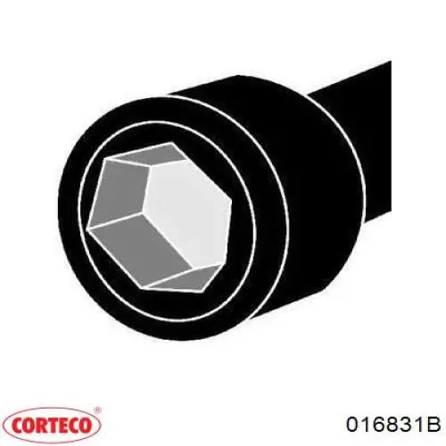 Śruba głowicy cylindrów Corteco 016831B cena, od 37,52 USD