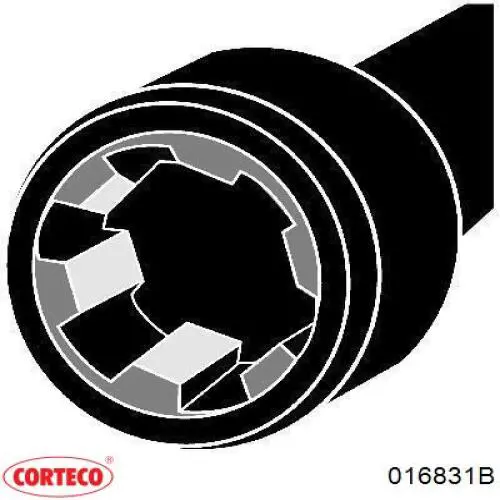 Do koszyka 016831B Corteco Śruba głowicy cylindrów