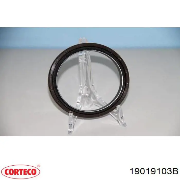 Uszczelniacz wału korbowego silnika tylny Corteco 19019103B cena, od 26,26 USD