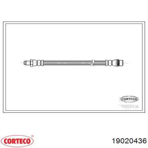 19020436 Corteco Przewód hamulcowy przedni