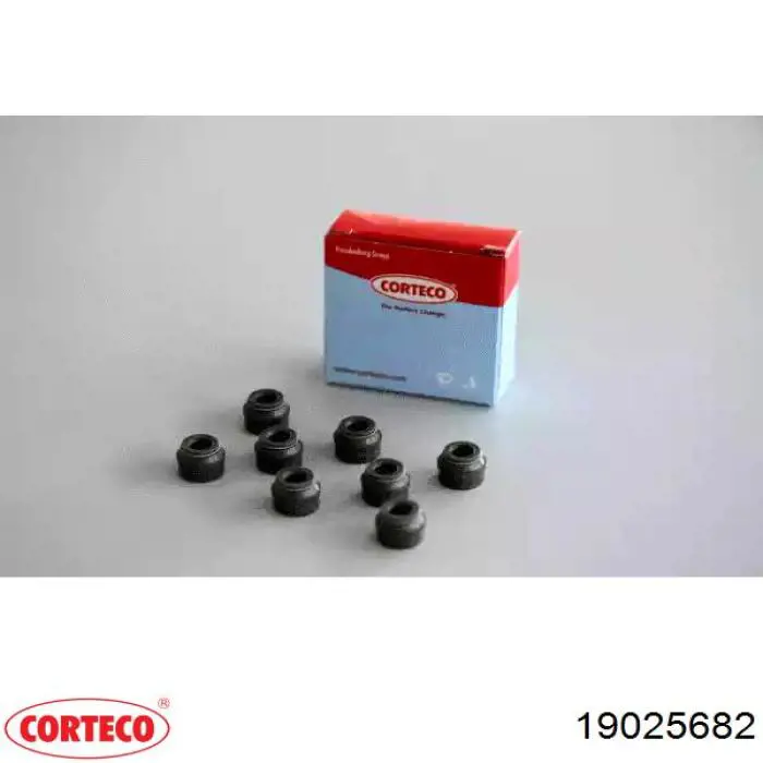 Uszczelniacz zaworu dolotowego/wylotowego, zestaw na silnik Corteco 19025682 cena, od 5,29 USD