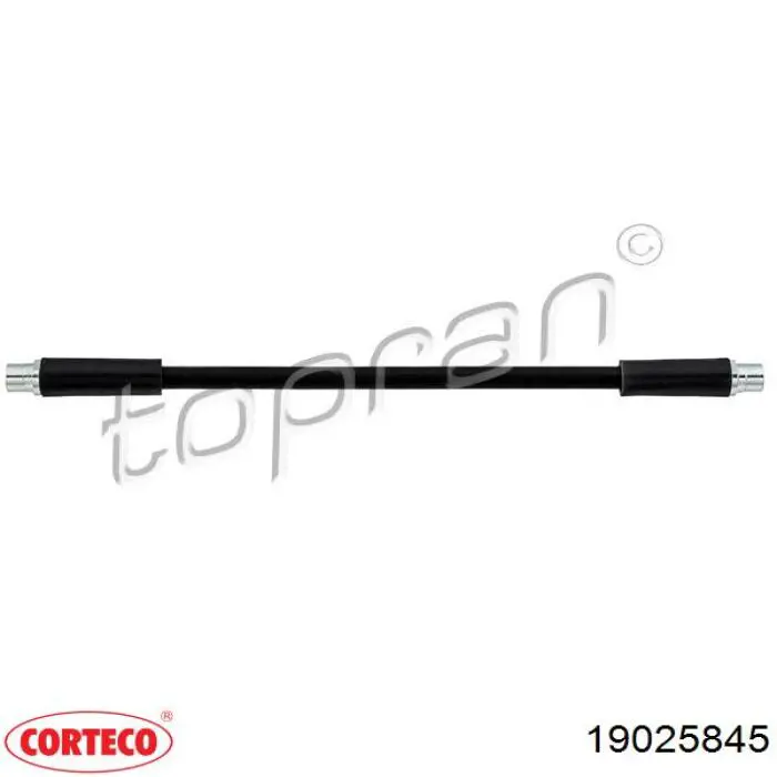 Do koszyka 19025845 Corteco Przewód hamulcowy przedni