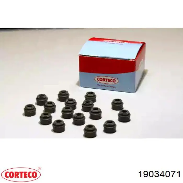 Uszczelniacz zaworu dolotowego/wylotowego, zestaw na silnik Corteco 19034071 cena, od 5,55 USD