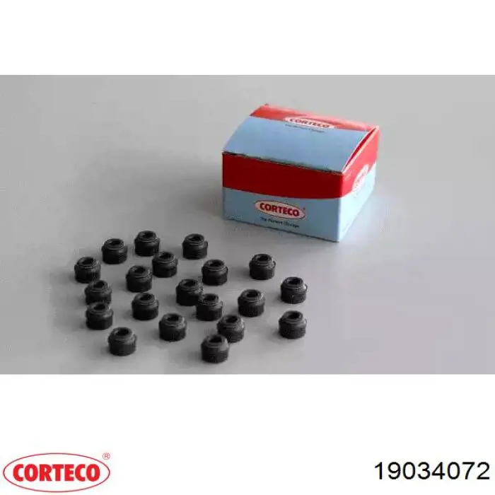Uszczelniacz zaworu dolotowego/wylotowego, zestaw na silnik Corteco 19034072 cena, od 19,79 USD
