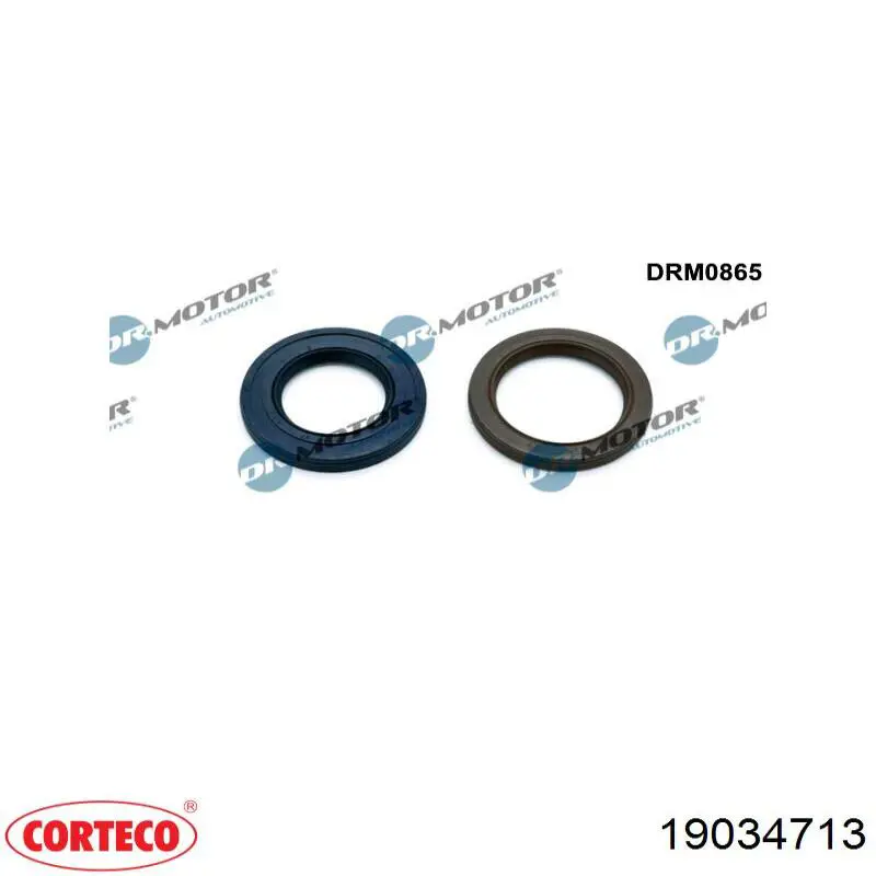 19034713 Corteco Uszczelniacz wałka rozrządu silnika