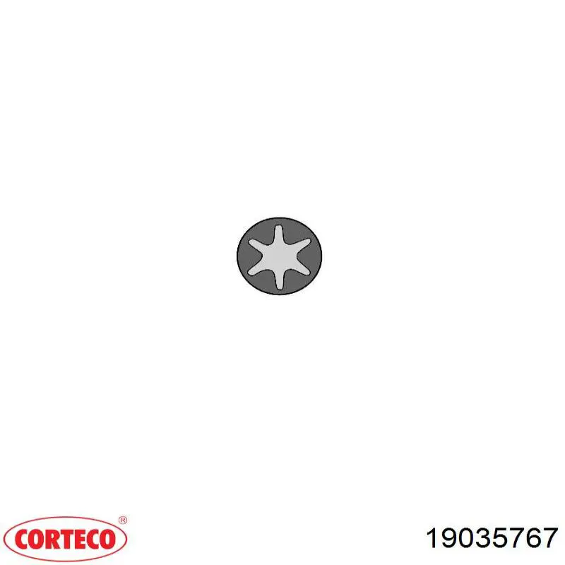 19035767 Corteco Uszczelniacz zaworu dolotowego, zestaw