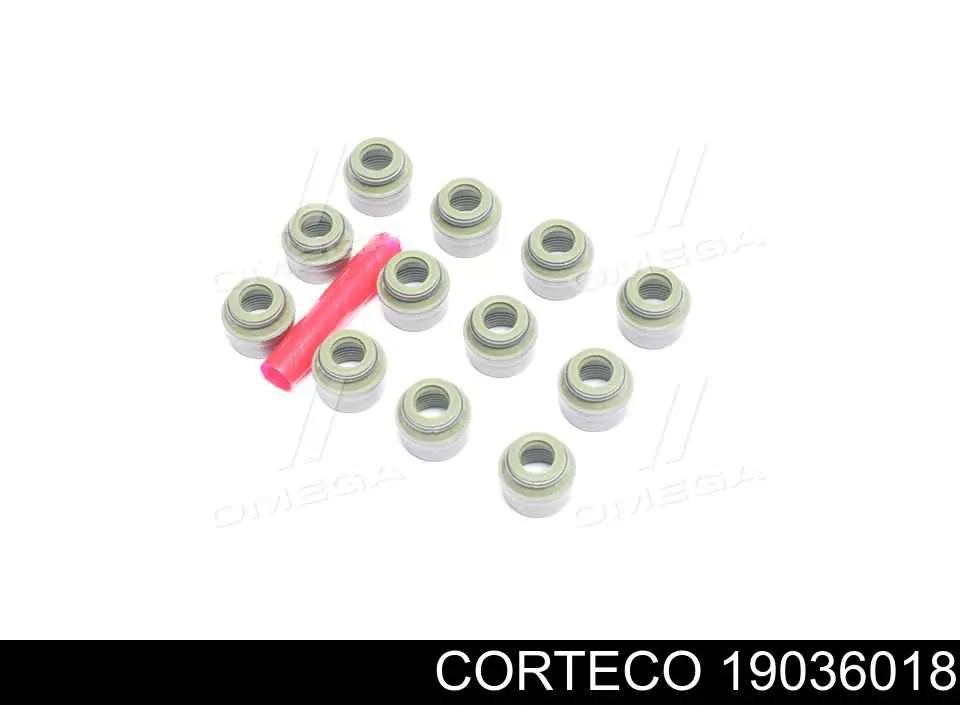 Uszczelniacz zaworu dolotowego/wylotowego, zestaw na silnik Corteco 19036018 cena, od 7,37 USD