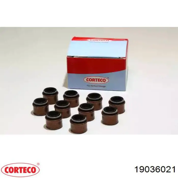 Uszczelniacz zaworu dolotowego/wylotowego, zestaw na silnik Corteco 19036021 cena, od 7,56 USD