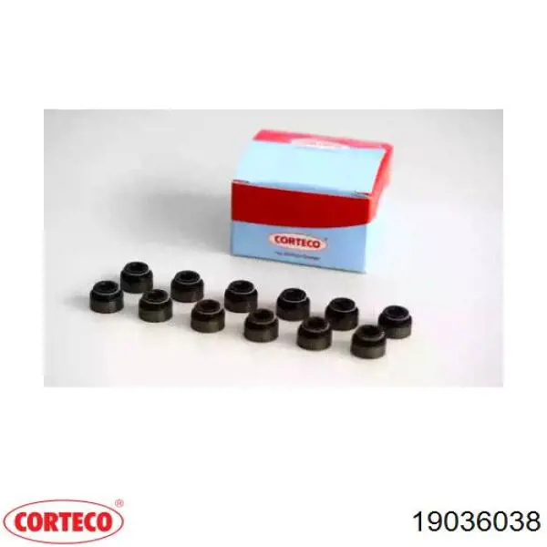 19036038 Corteco Uszczelniacz zaworu dolotowego/wylotowego
