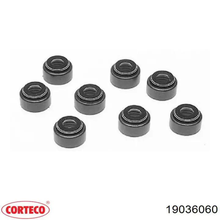 Corteco 19036060 cena, od 25,89 USD