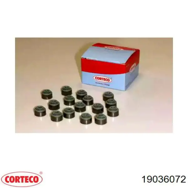 Uszczelniacz zaworu dolotowego/wylotowego, zestaw na silnik Corteco 19036072 cena, od 18,26 USD