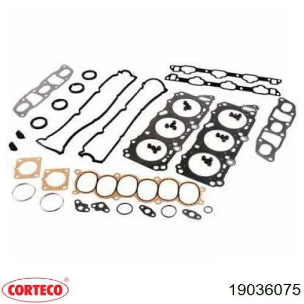 Uszczelniacz zaworu wylotowego, zestaw 19036075 Corteco