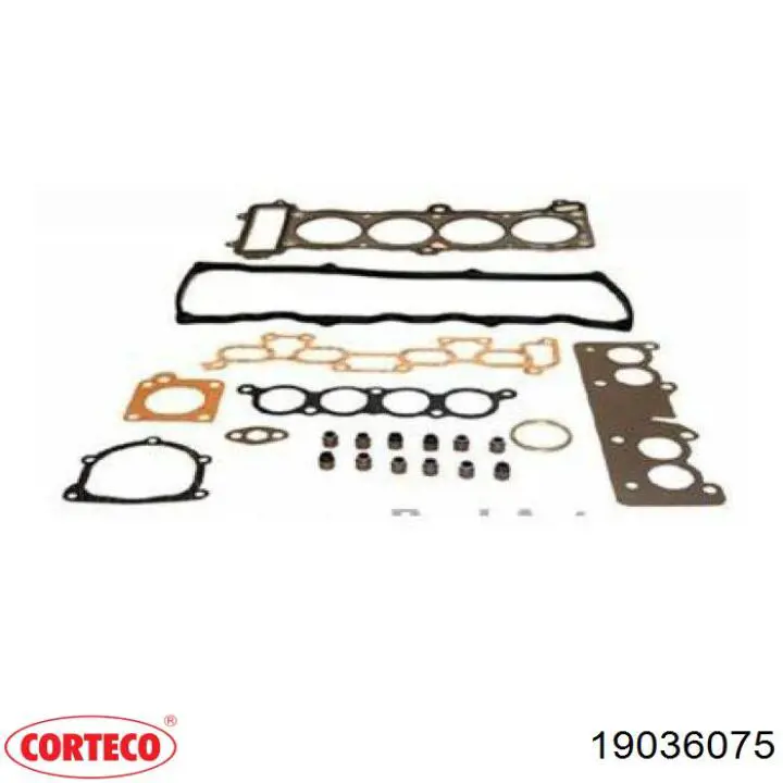 Uszczelniacz zaworu wylotowego, zestaw Corteco 19036075 cena, od 5,02 USD