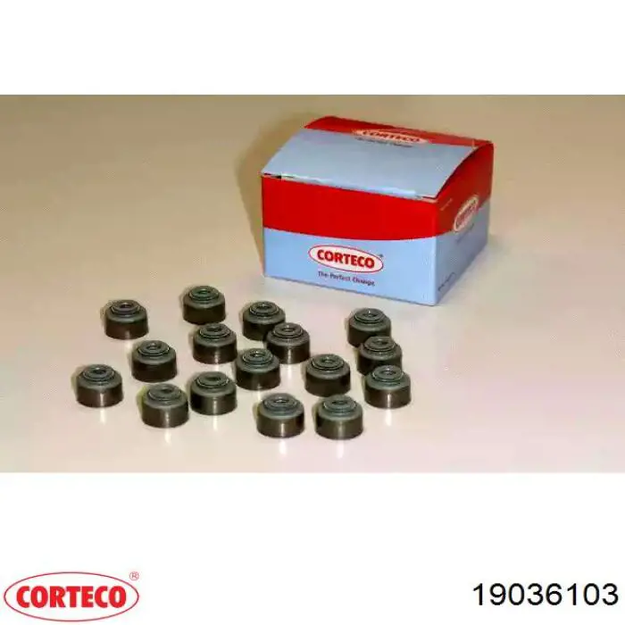 Uszczelniacz zaworu dolotowego/wylotowego, zestaw na silnik Corteco 19036103 cena, od 38,35 USD
