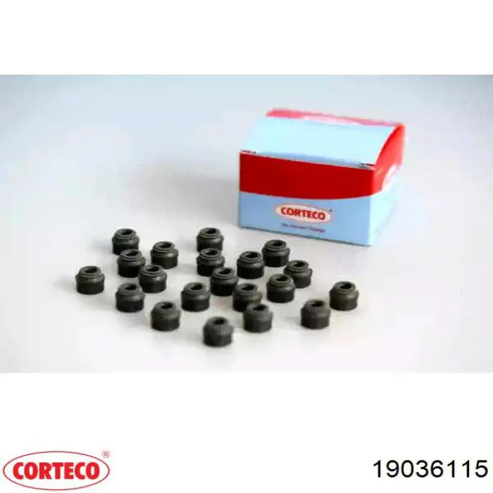 Uszczelniacz zaworu dolotowego/wylotowego, zestaw na silnik Corteco 19036115 cena, od 21,17 USD