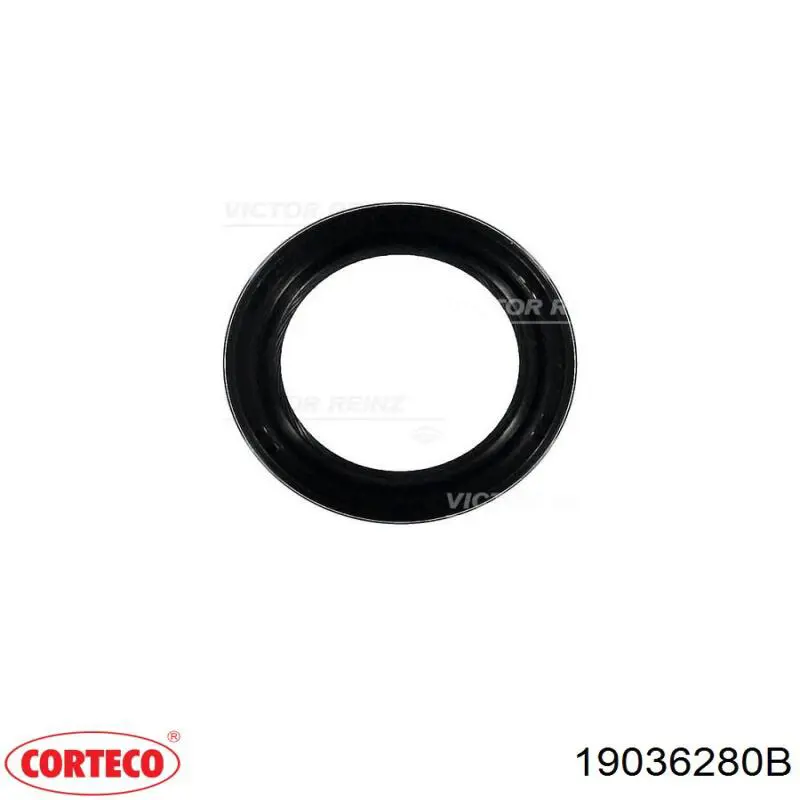 Uszczelniacz wałka rozrządu silnika Corteco 19036280B cena, od 5,04 USD