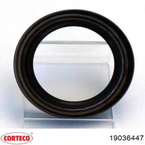 Uszczelniacz wału korbowego przedni 19036447 Corteco