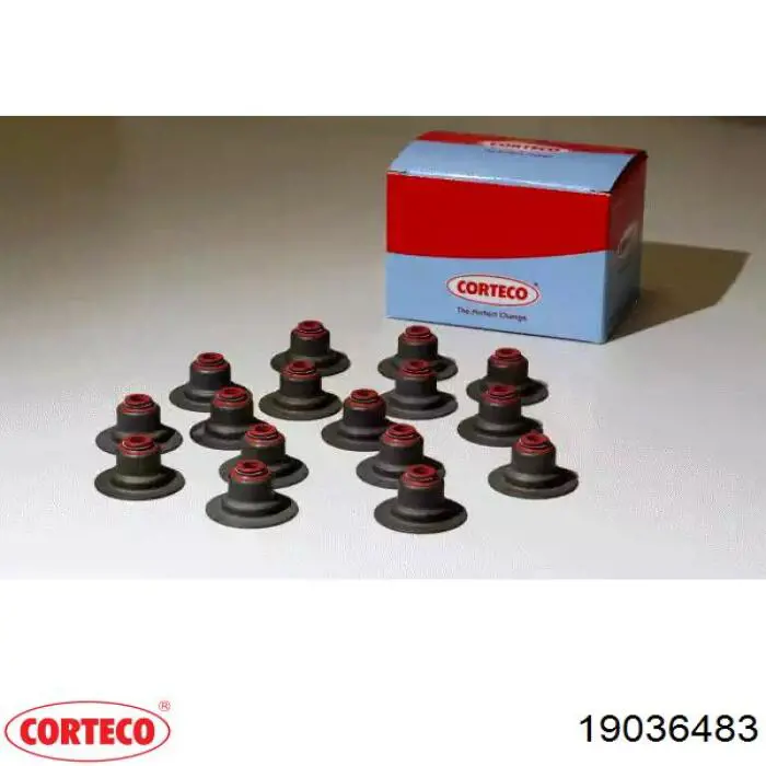 Uszczelniacz zaworu dolotowego/wylotowego, zestaw na silnik Corteco 19036483 cena, od 28,45 USD
