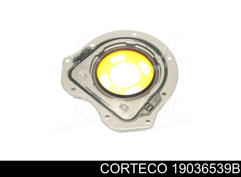 Uszczelniacz wału korbowego silnika tylny Corteco 19036539B cena, od 36,79 USD