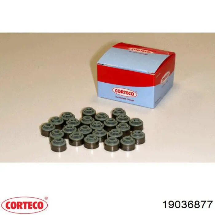 1813133 DAF Uszczelniacz zaworu dolotowego/wylotowego