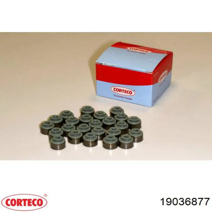 Uszczelniacz zaworu dolotowego/wylotowego DAF 1813133 cena, od 3,71 USD