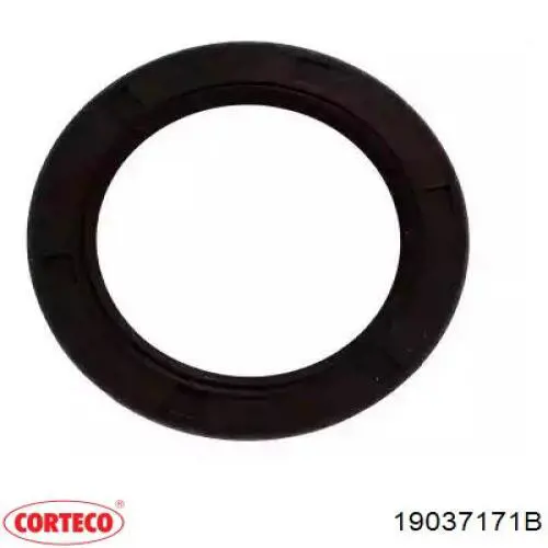 Uszczelniacz wału korbowego przedni Corteco 19037171B cena, od 10,68 USD