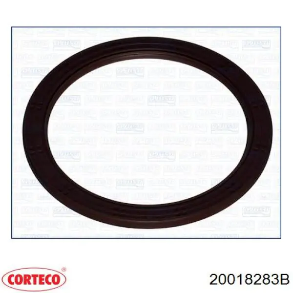 Uszczelniacz wału korbowego silnika tylny Corteco 20018283B cena, od 22,22 USD
