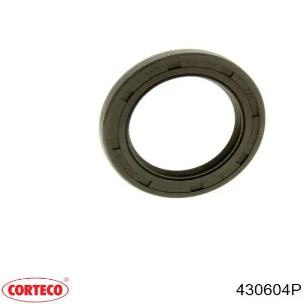 0197X6 Peugeot/Citroen Zestaw uszczelek silnika pełny