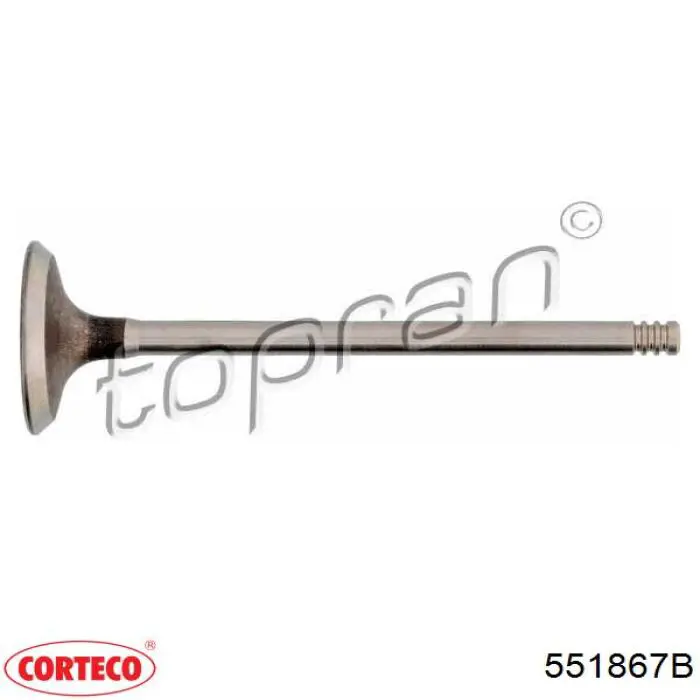 Zawór dolotowy/ssący 551867B Corteco