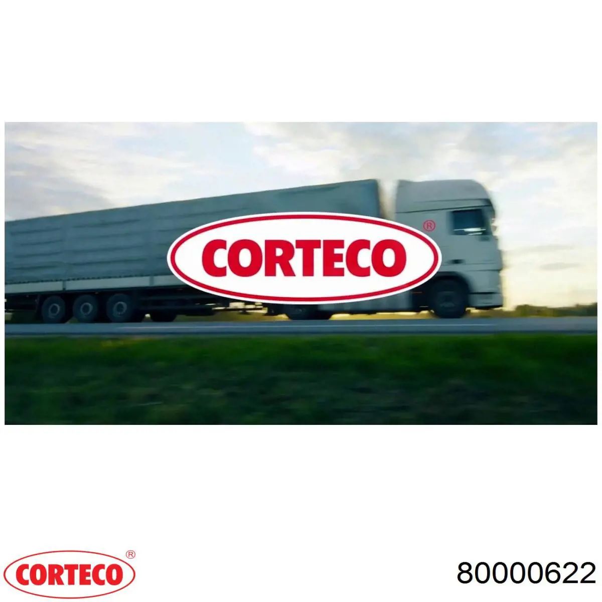 Filtr kabiny 80000622 Corteco