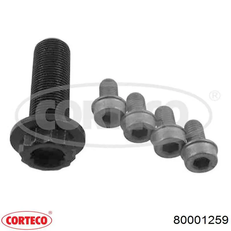 Śruba koła pasowego wału korbowego Continental/Siemens MS17 cena, od 10,18 USD