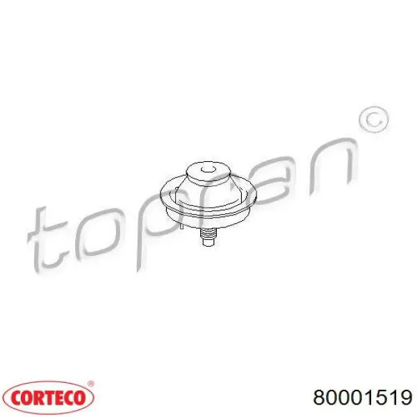 Poduszka (podpora) silnika prawy przednia Corteco 80001519 cena, od 8,58 USD
