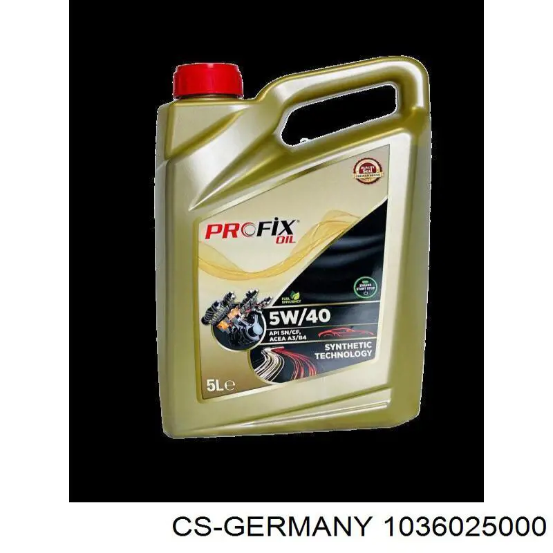 1036025000 CS Germany Resor tylny