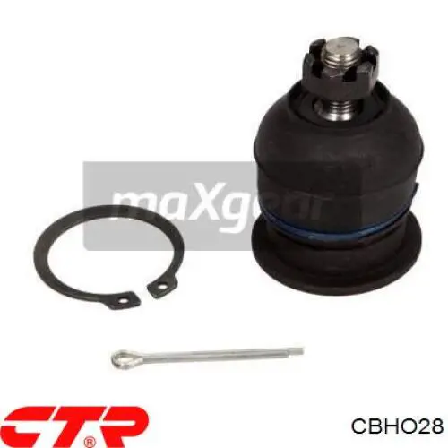 Sworzeń wahacza górny CTR CBHO28 cena, od 13,91 USD