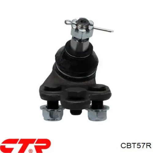 Do koszyka CBT57R CTR Sworzeń wahacza dolny prawy