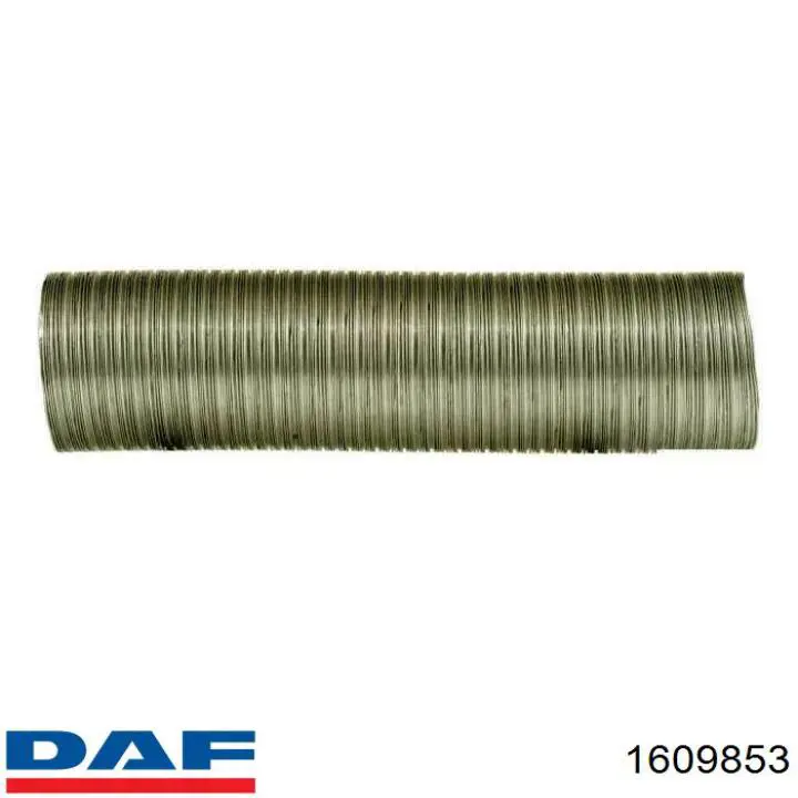 Pompa chłodząca wodna DAF 1609853 cena, od 195,11 USD