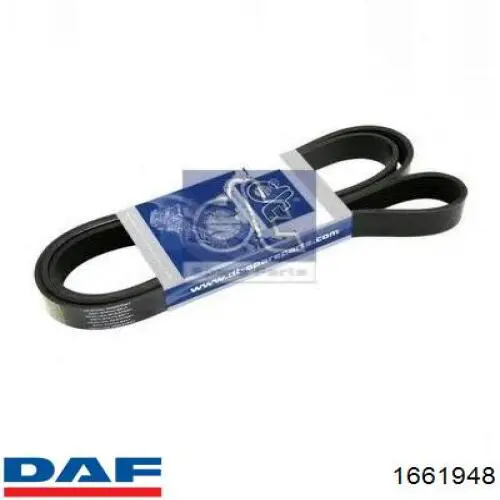 1661948 DAF Pas napędowy mechanizmów