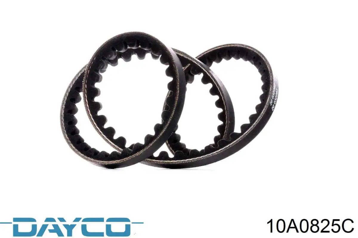 10A0825C Dayco Pas napędowy mechanizmów