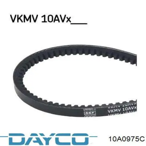 10A0975C Dayco pas napędowy mechanizmów
