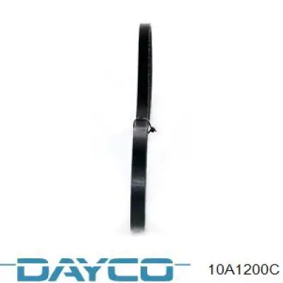 Do koszyka 10A1200C Dayco Pas napędowy mechanizmów